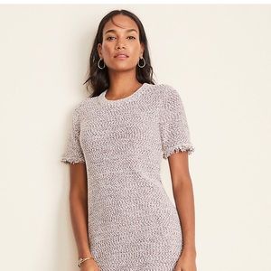 Ann Taylor Petite Tweed Fringe Sweater Dress